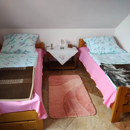 Rose * Waldeck (Hessen)